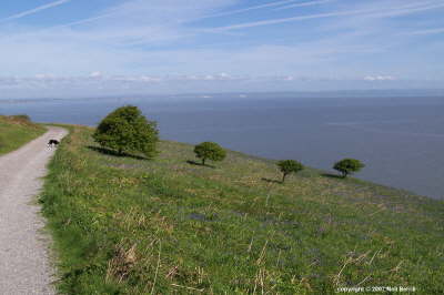 Brean Down Viewpoint