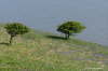 Brean Down Viewpoint