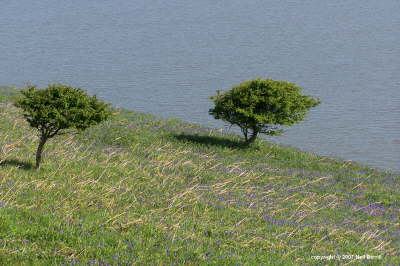 Brean Down Viewpoint