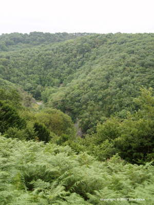 Cheddar Gorge